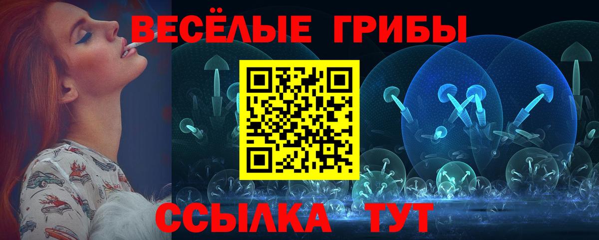 Псилоцибиновые грибы MAGIC MUSHROOMS  Галлюциногенные грибы Magic Shrooms  Верхняя Пышма  Вход с VPN 